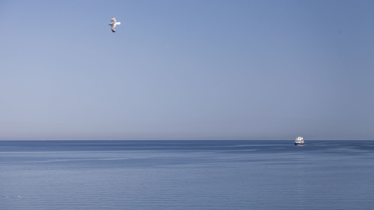 Чайка в небе и паром вдалеке в море в ясную погоду